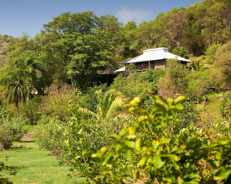 Hotel Firefly Plantation Bequia