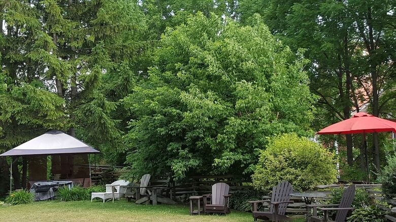 Bed & Breakfast Stone Maiden Inn