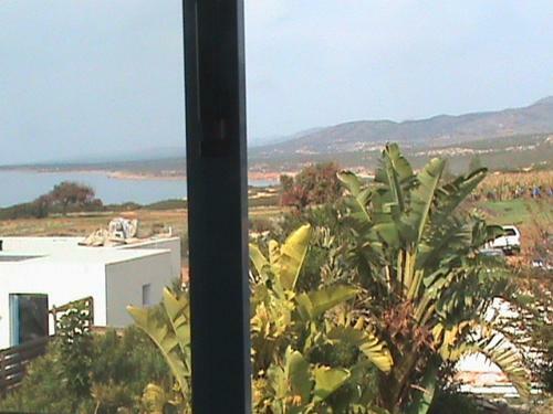 Akamas Villas - Villa Queen Evridiki