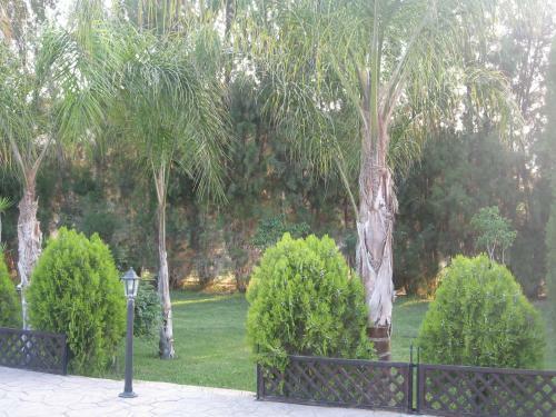 Zena Holiday Villa