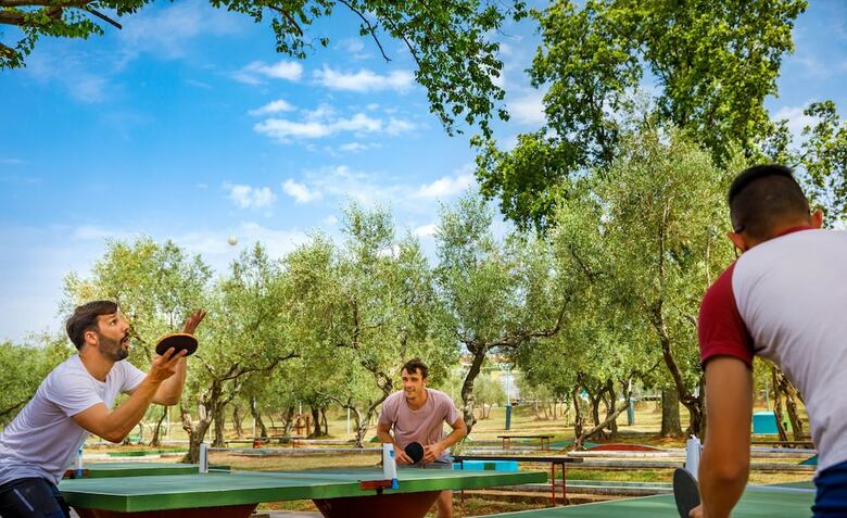 Apartamentos Holiday Homes Istrian Premium Village