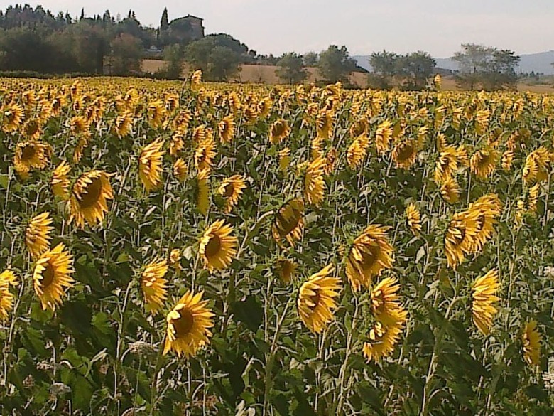 Agroturismo Agriturismo Paradiso