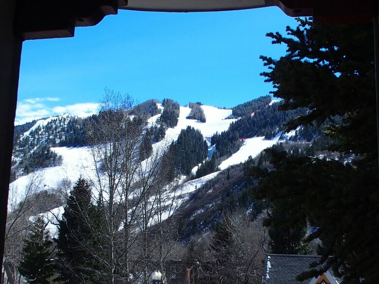Hotel Tyrolean Lodge