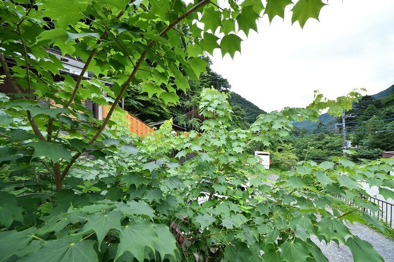 Hotel Shima Onsen Tsuruya