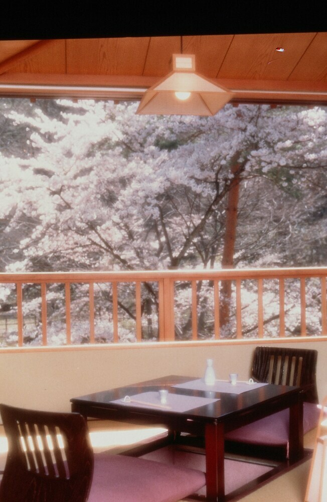 Hotel Kinseikan Seseragi