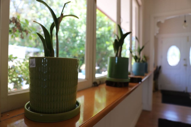 Bed & Breakfast Hilltop On Tamborine