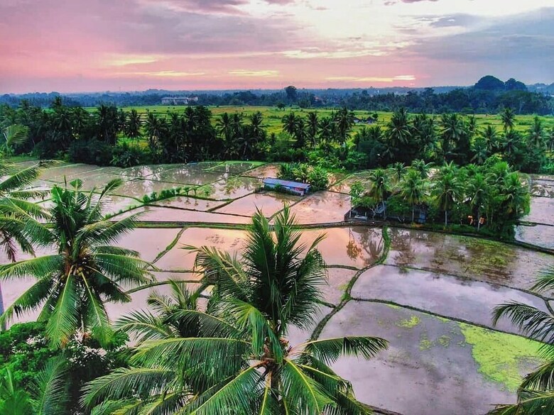 Hotel Lodtunduh Sari