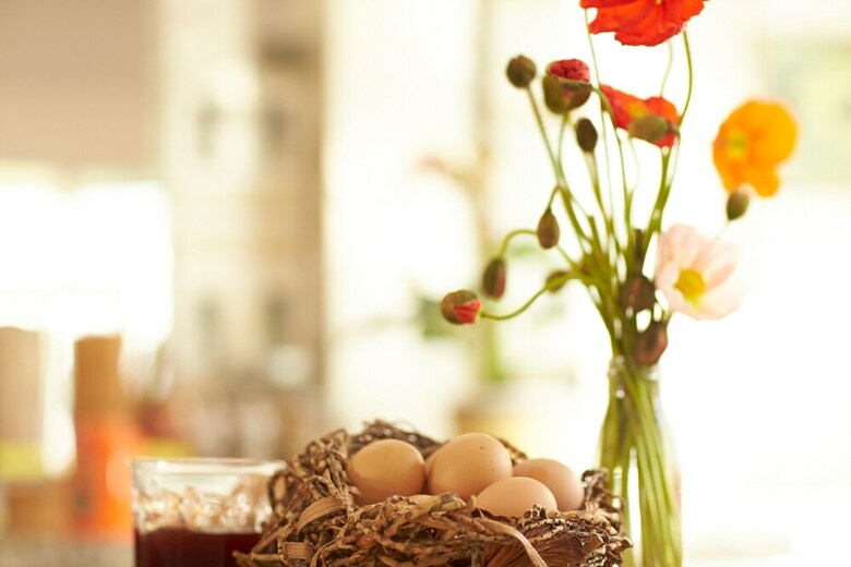 Bed & Breakfast Bondi Beach House