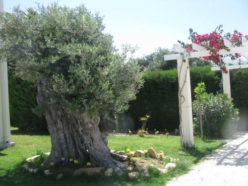 Bed & Breakfast Secret Garden Residence