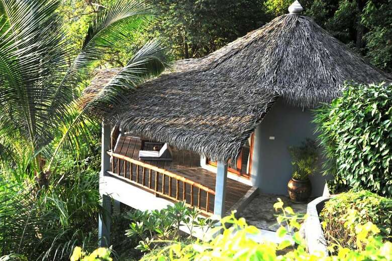 Hotel The Jungle Club