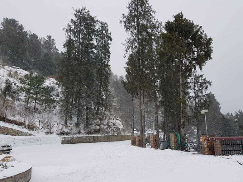 Hotel Royal Tulip Shimla - Kufri