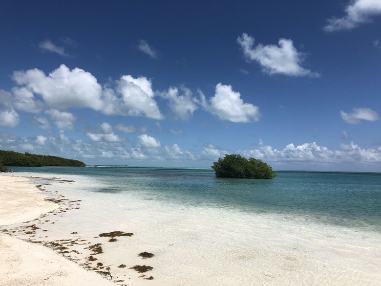 Royal Palm Island Resort