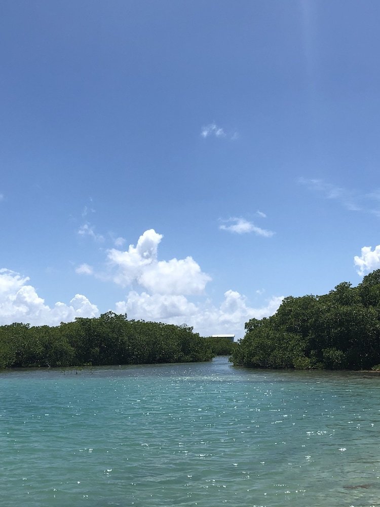 Royal Palm Island Resort