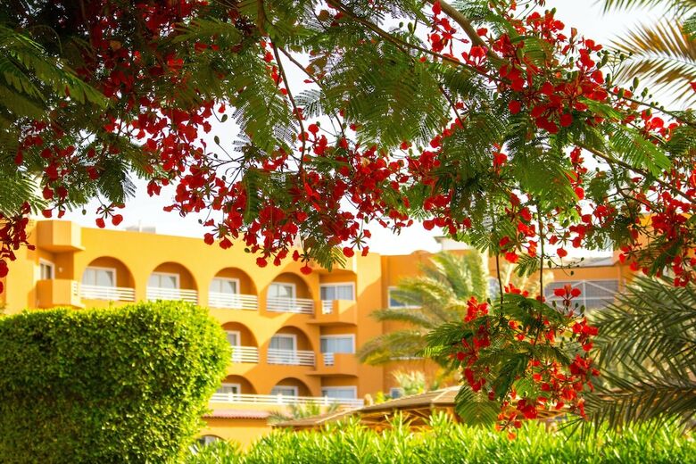 Hotel Golden Beach Resort - Ex. Movie Gate