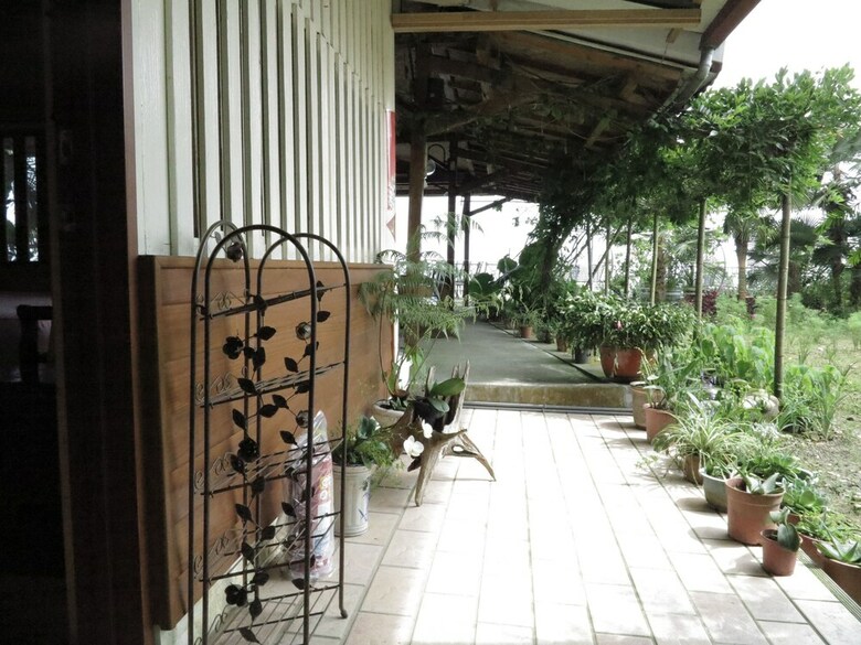 Hotel Alishan B&B Yunmingi Aliscenery