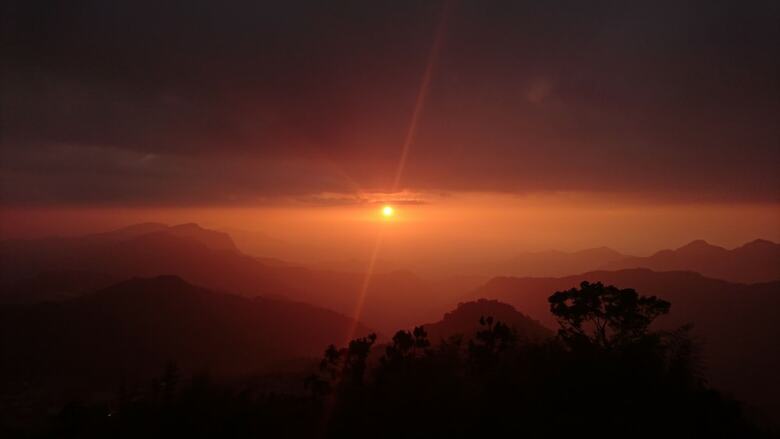 Hotel Alishan B&B Yunmingi Aliscenery
