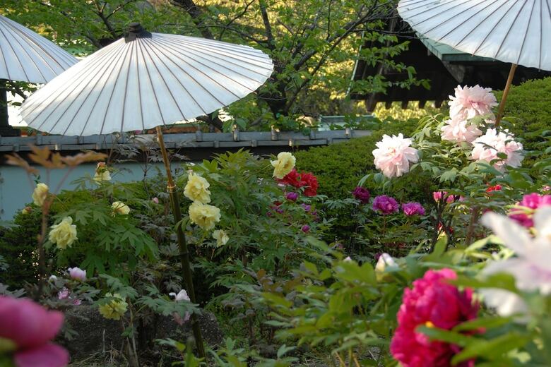 Dormy Inn Ueno Okachimachi Hot Spring