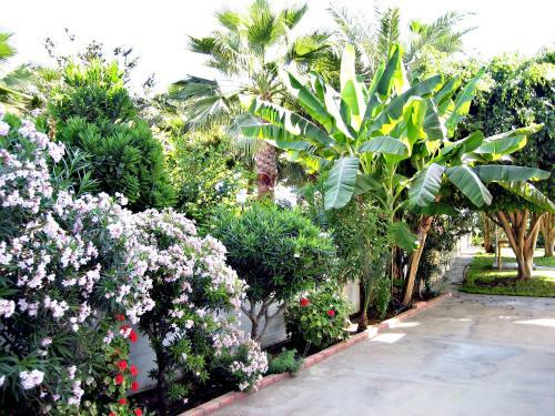 Rododafni Beach Apartments