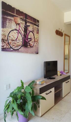 Arilena Holiday Apartments