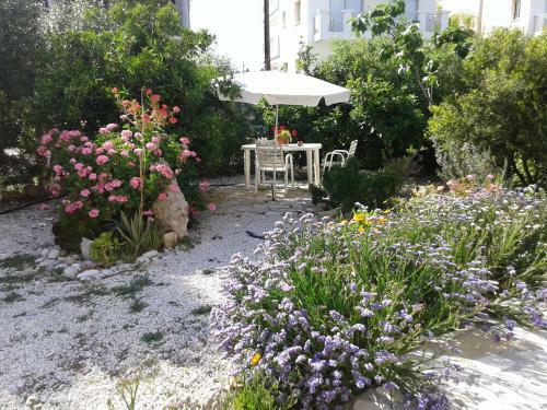 Arilena Holiday Apartments