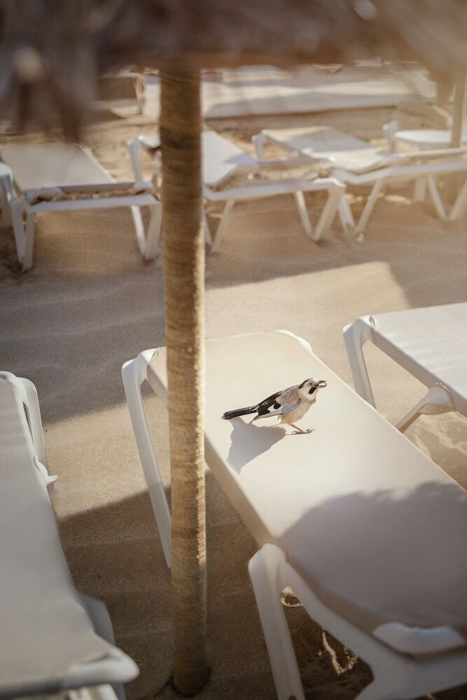Hotel Voyage T�rkb�k� - All Inclusive