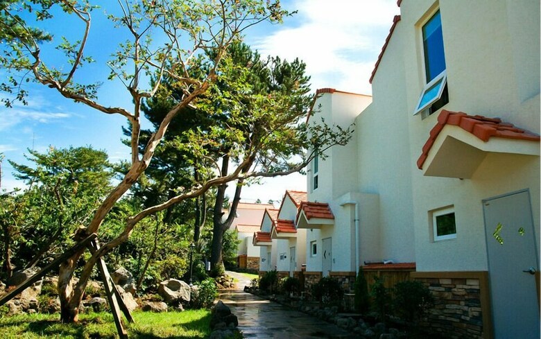Hotel Memory In Jeju Pension