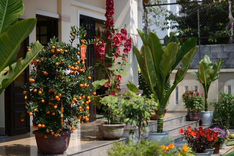 Hotel Han Thuyen Homestay