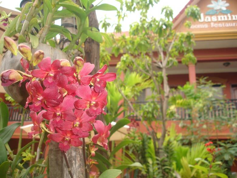 Hotel Jasmine Family Hostel