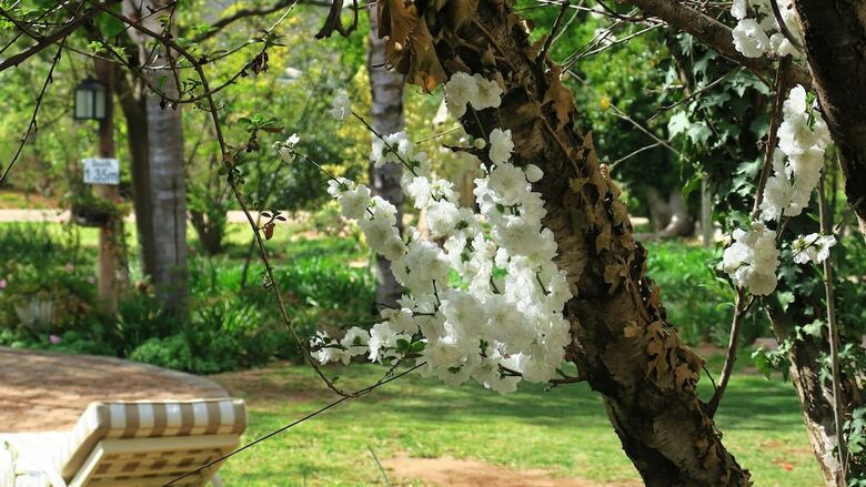 Agroturismo Berluda Farmhouse & Cottages