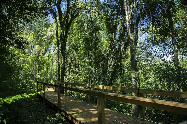 Posada Mocona Virgin Lodge By Don
