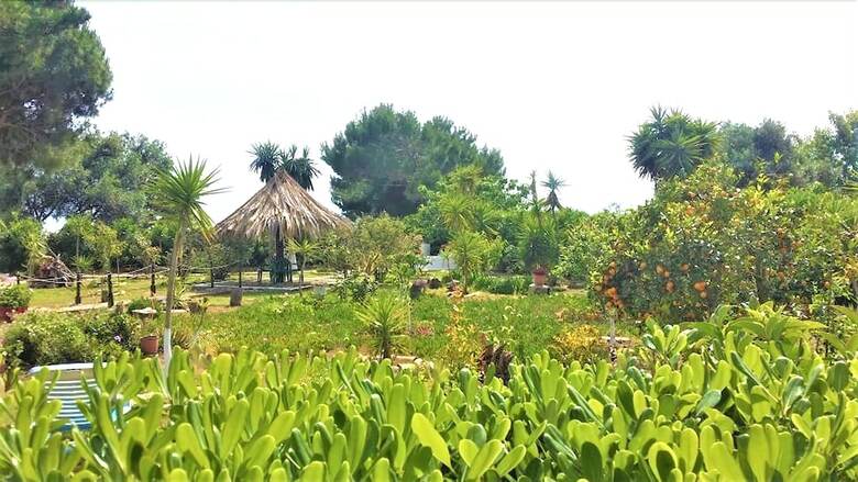 Apartamentos Villa Tatiana