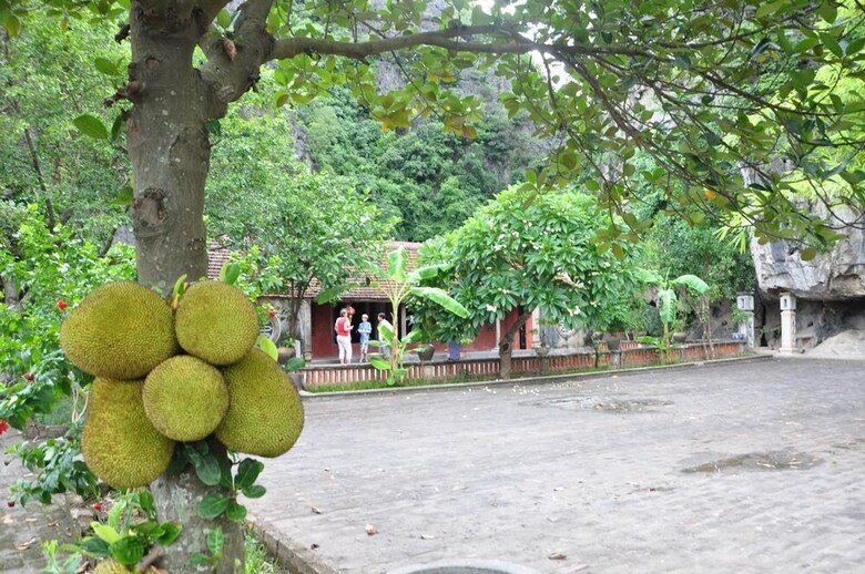 Vietnamese Ancient Village Hotel