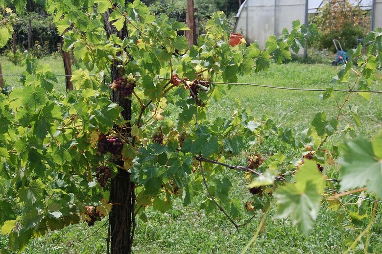 Agroturismo Campo Di Cielo