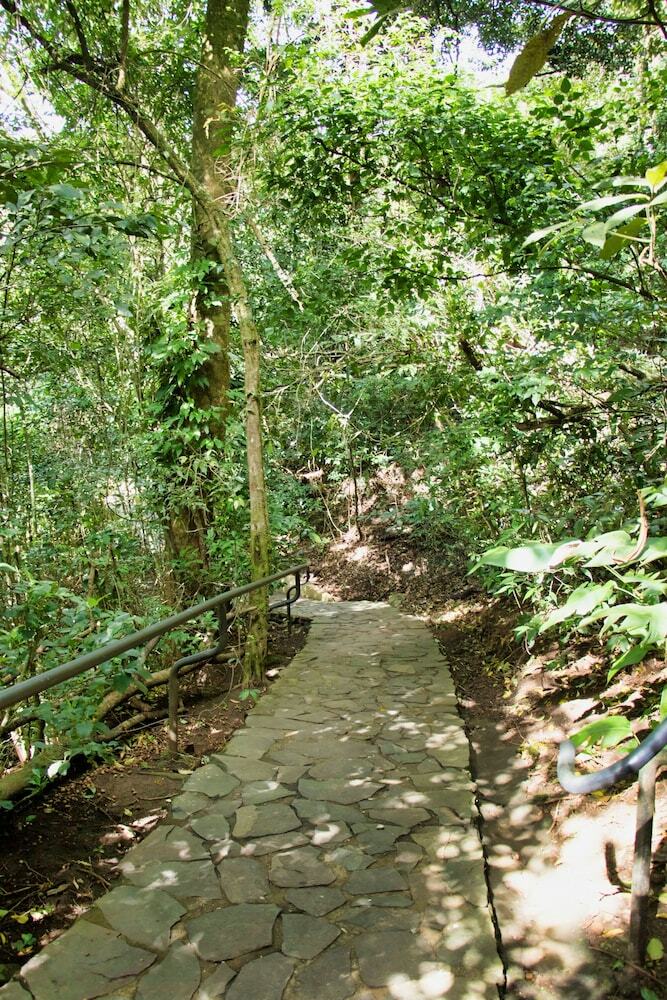 Hotel Jaguarundi Lodge