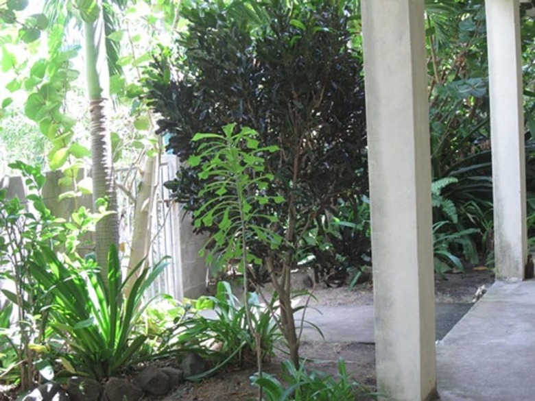 Hotel Culture House