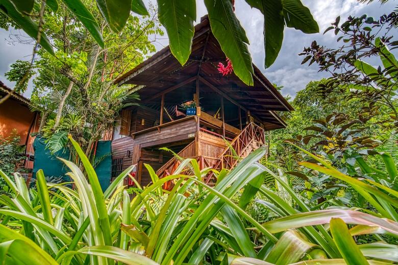 Posada Hotel Banana Azul - Adults Only