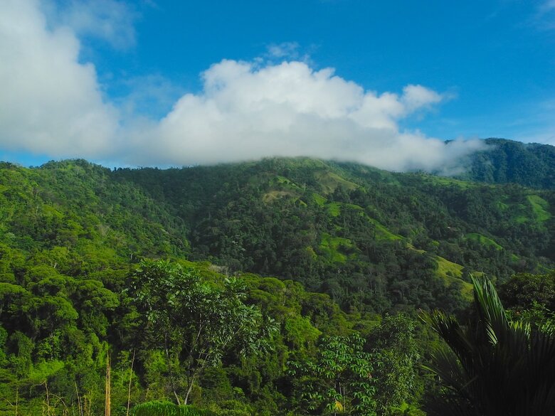 Posada Santa Juana Nature Reserve Full Board Lodge