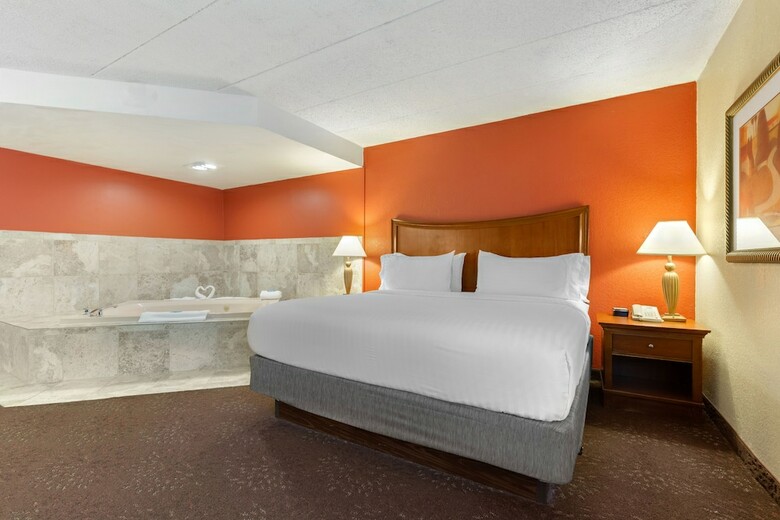 Hotel Holiday Inn Express Chicago-downers Grove