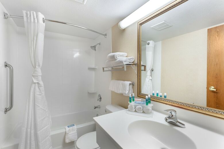 Hotel Holiday Inn Express Chicago-downers Grove
