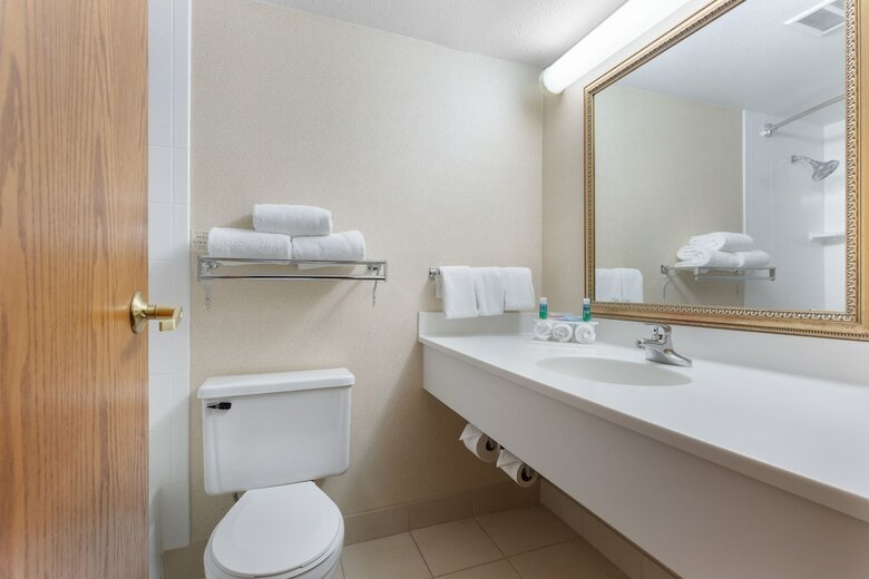 Hotel Holiday Inn Express Chicago-downers Grove