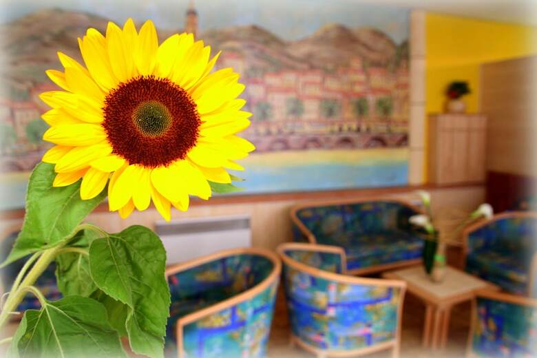 Hotel H�tel Menton Riviera