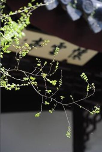 Scholars Hotel Pingjiangfu Suzhou