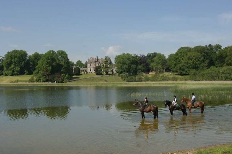 Hotel Castle Leslie Estate