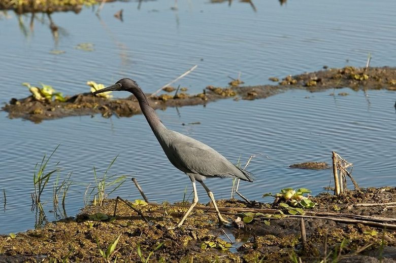 Posada Palo Verde Biological Station