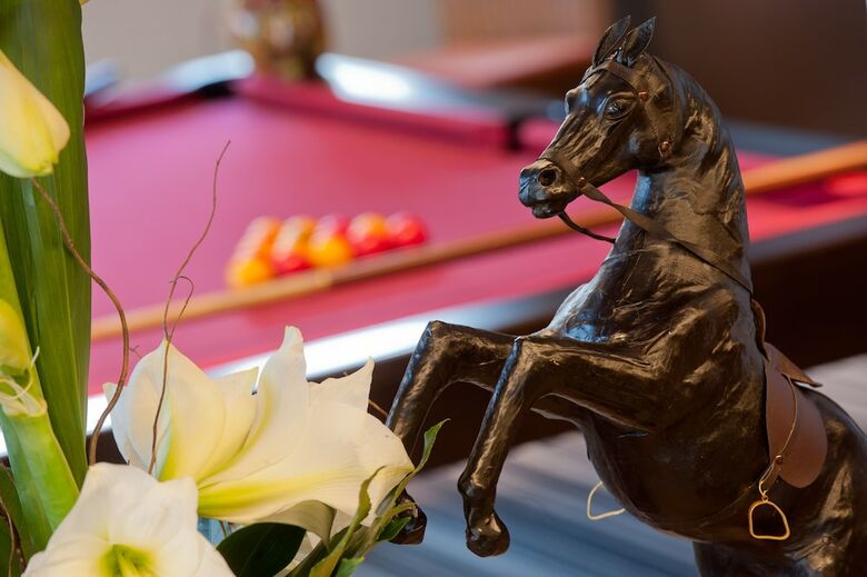 Hotel Mercure Bords de Loire Saumur