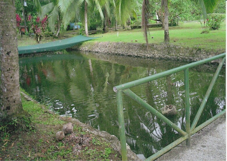Posada El Pizote Lodge