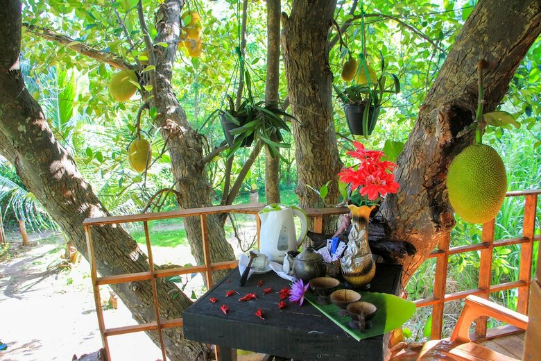 Hotel Lake View Tree House
