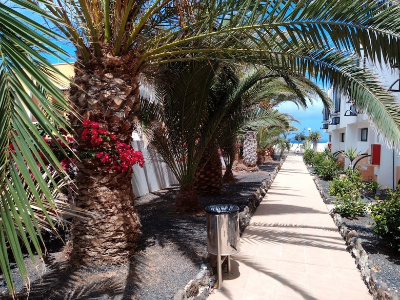 Apartamentos Fuerteventura