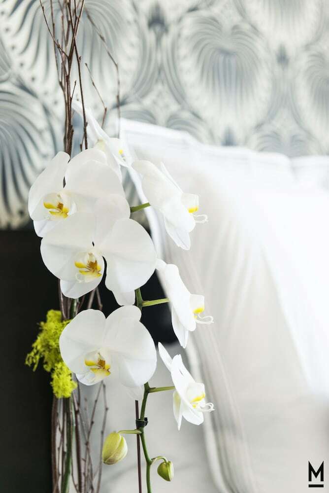 The Mayfair Hotel Los Angeles