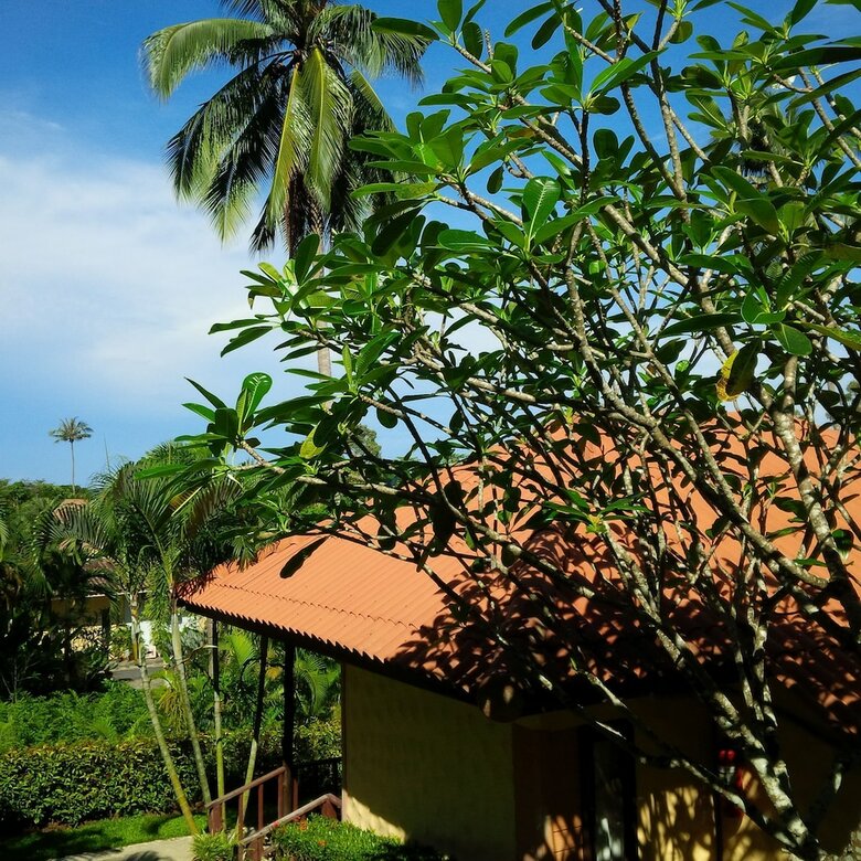 Hotel Paradise Bungalows